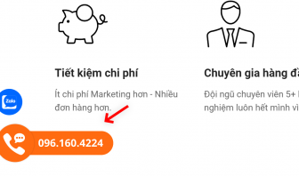 alongay-group-20201226-ghim-so-hotline